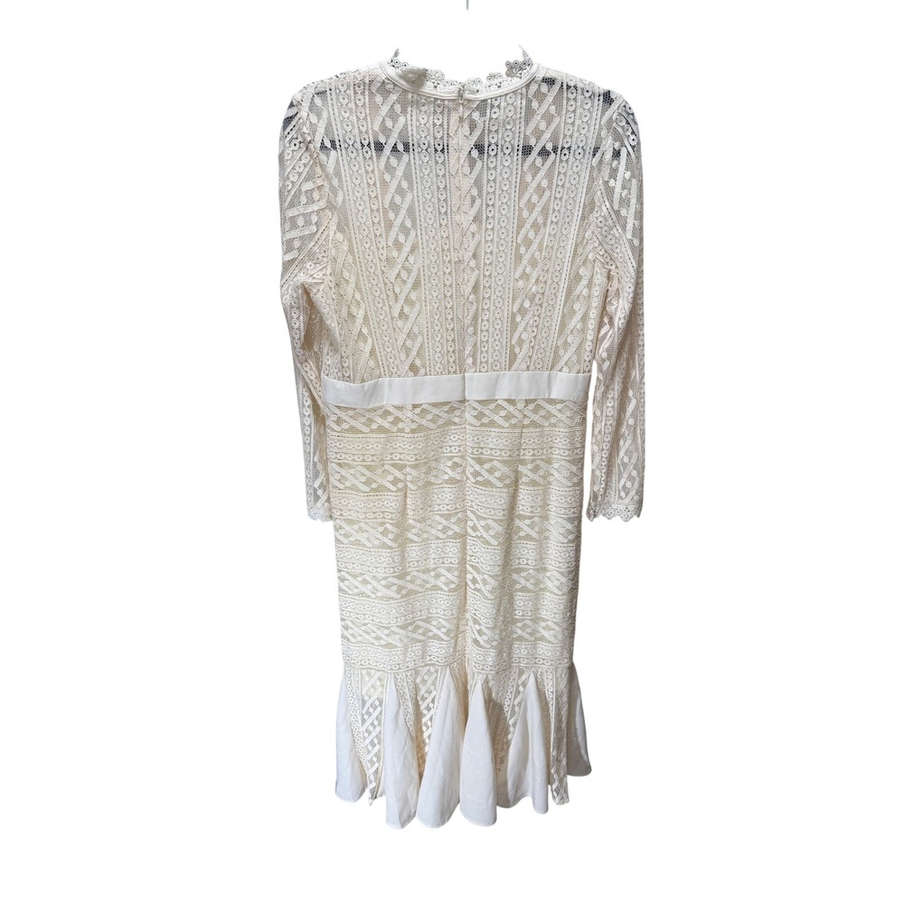 Metisu Lace Long Sleeve Midi Dress Sz L Victorian Regency Sheer Coquette Dainty - Picture 2 of 10